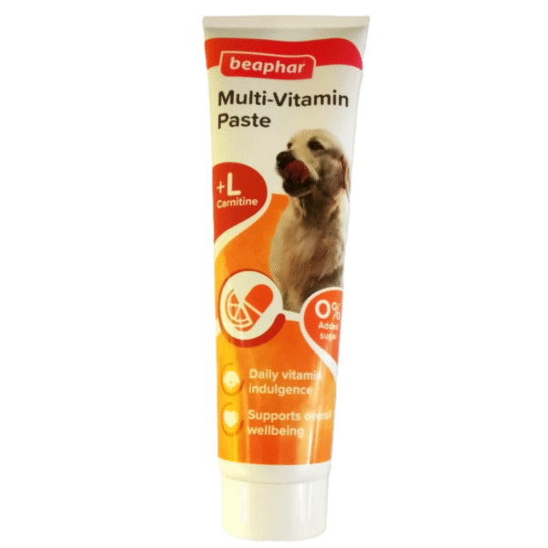 Duo Active Multivitamin Paste For Dog 100g