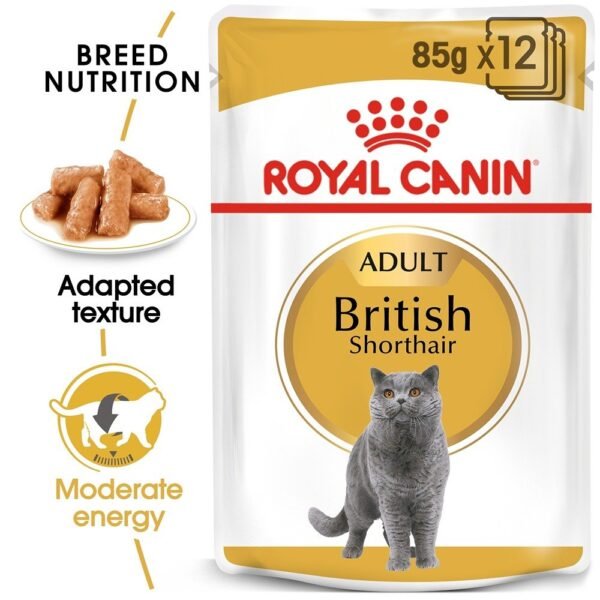 Royal Canin British Shorthair Adult Gravy Wet Cat Food 85g x 12 Pouches