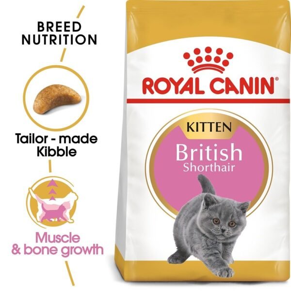 Royal Canin British Shorthair Kitten Dry Food 2 KG