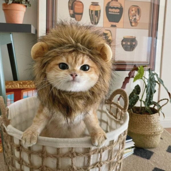 Lion Pet Head Cover For Cat