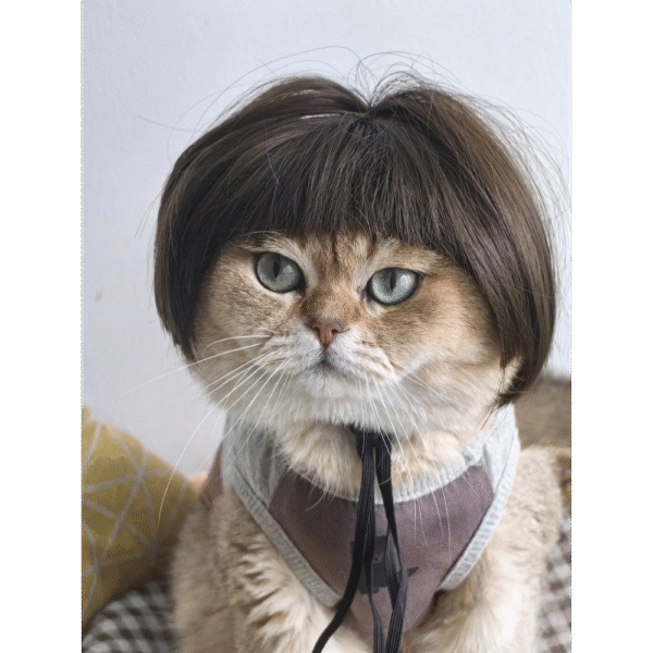 Funny Hair Accessories For Pet