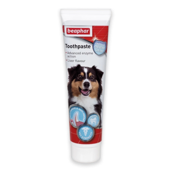 Pet Toothpaste Liver Flavour 100 ml