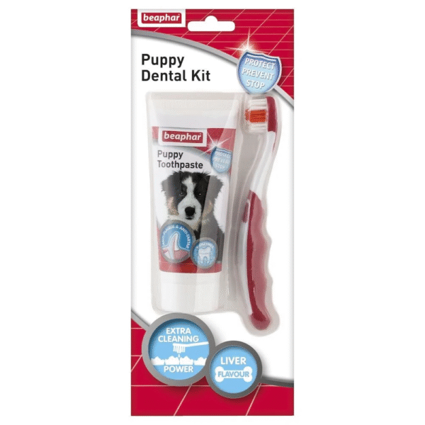 Puppy Toothpaste And Toothbrush Set 50 ml