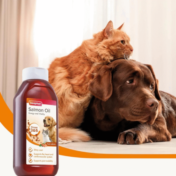 Supplement Vital Salmon Oil For Dogs And Cats 430Ml