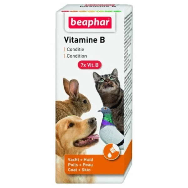 Vitamin B Complex 50ml