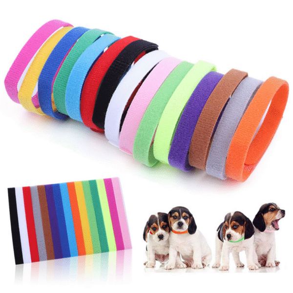 Newborn Id Collars For Kitties And Puppies 12 Colors