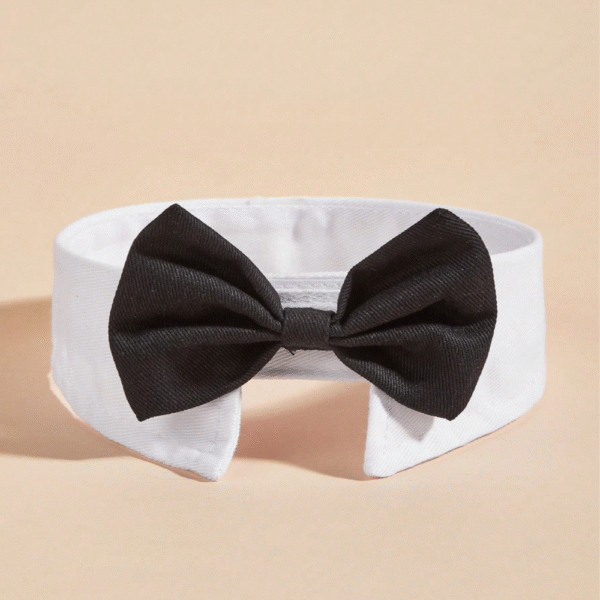 Black And White Pet Neck Tie