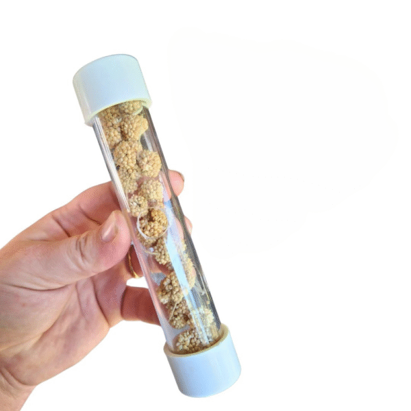 Foraging Foot Birds Toy