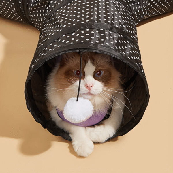 Caway Kennel Interactive three Way Cat Tunnel Toy , Black