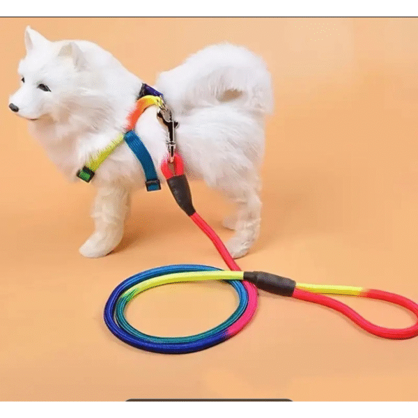No-Pull Pet Harness And Leash Set