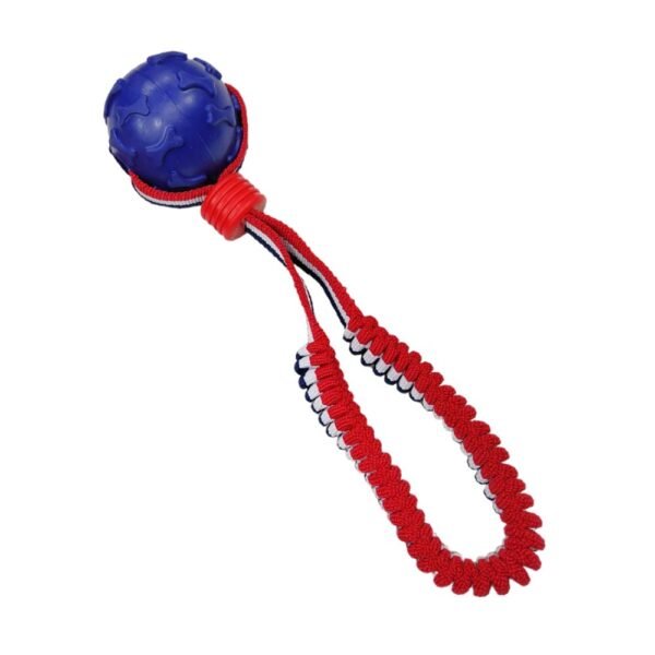 Elastic Rope Dog Bone Pattern Training Dog Toy