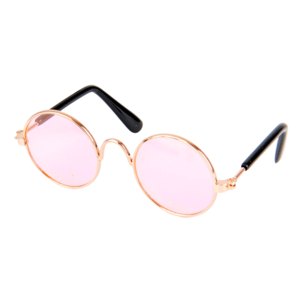 Pet Glasses