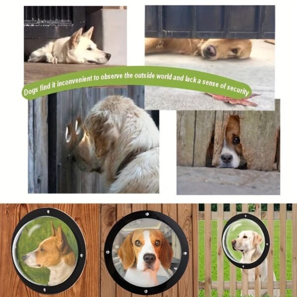 Acrylic Pet Viewing Window