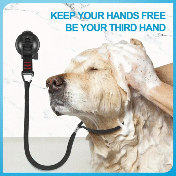 Adjustable Dog Bath Tether With Heavy Suction Cup