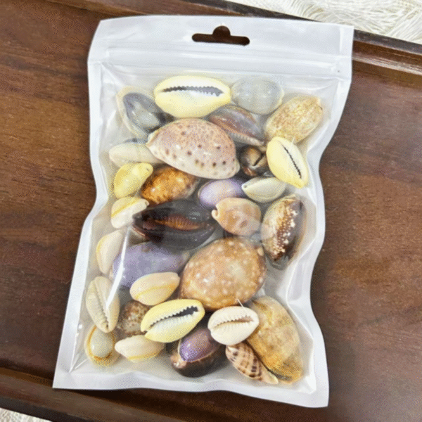 Assorted Seashell Sand Mix , 100g