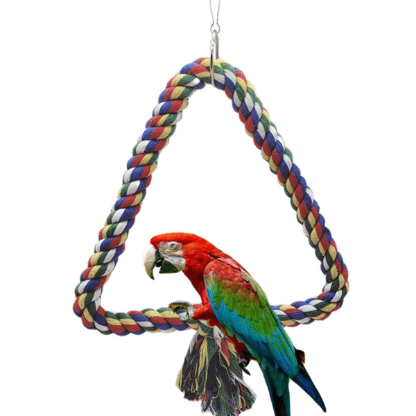 Bird Climbing Rope Swing