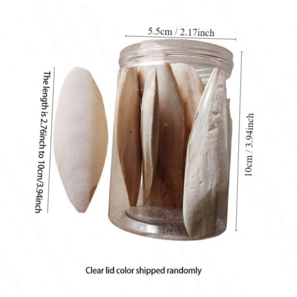 Bone Sepia Supplement Grinding Calcium 7 to 10cm , 6 Pcs