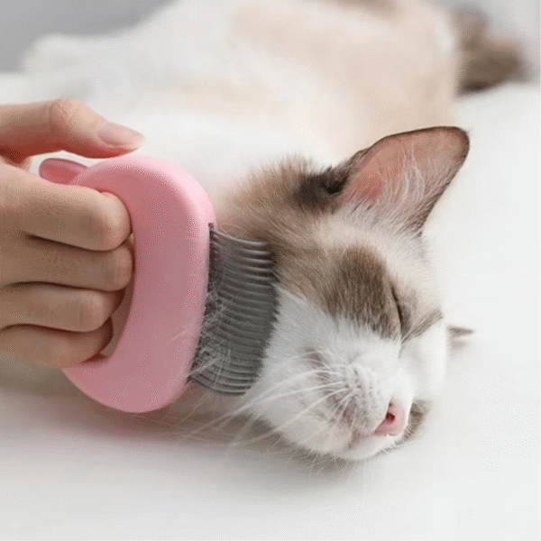 Cat Ear Decor Pet Hair Remover Comb
