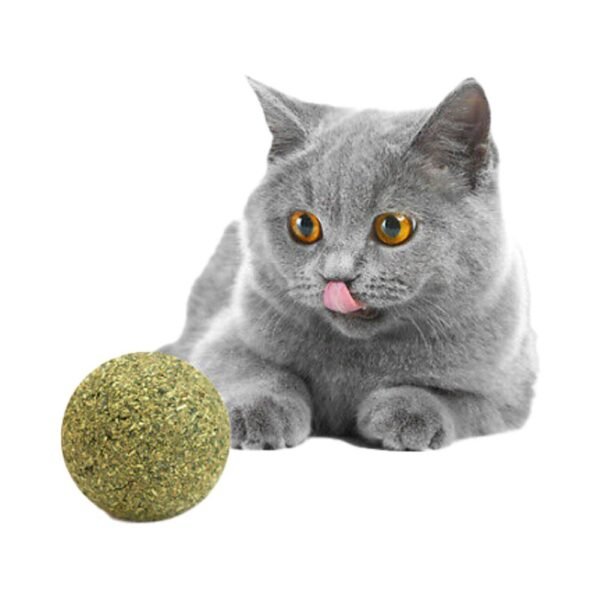 Catnip Cat Play Ball 1 Pieces