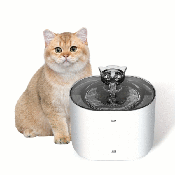Deep Purification Water Fountain With 2 Faucet of Water Flows 2.2 L
