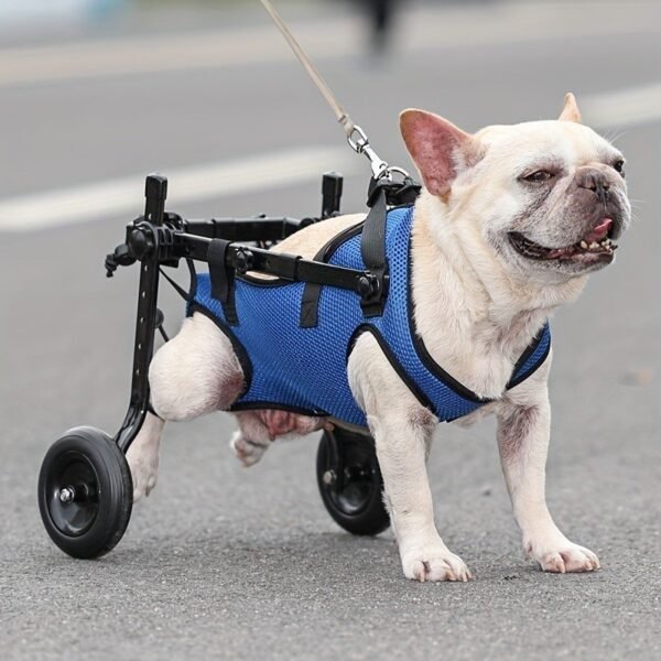 Dog Wheelchair Rehabilitation Walking Auxiliary Cart For Back Legs , Medium