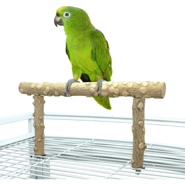 Durable Pepper Wood Parrot Stand