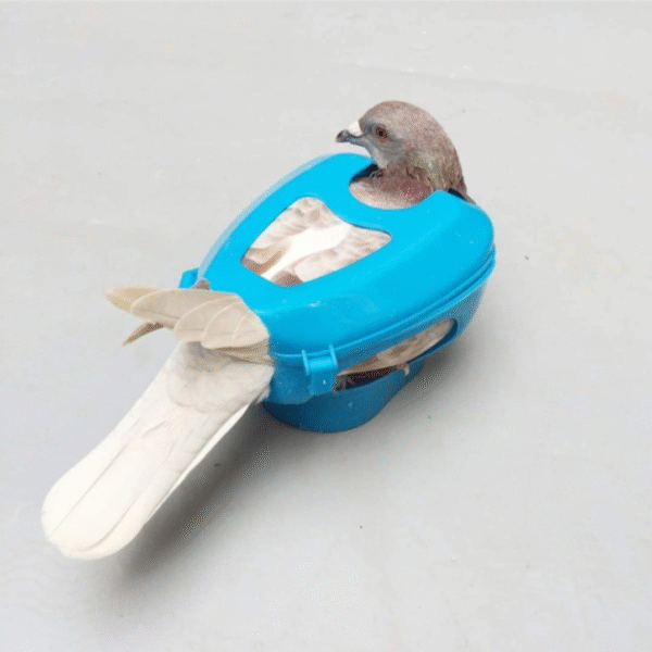 Durable Pigeon Fixed Holder