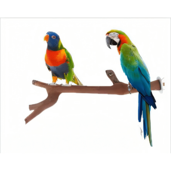 Grape Wood With Fork With Fork Bird Stand