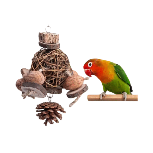 Interactive Wooden Parrot Toy