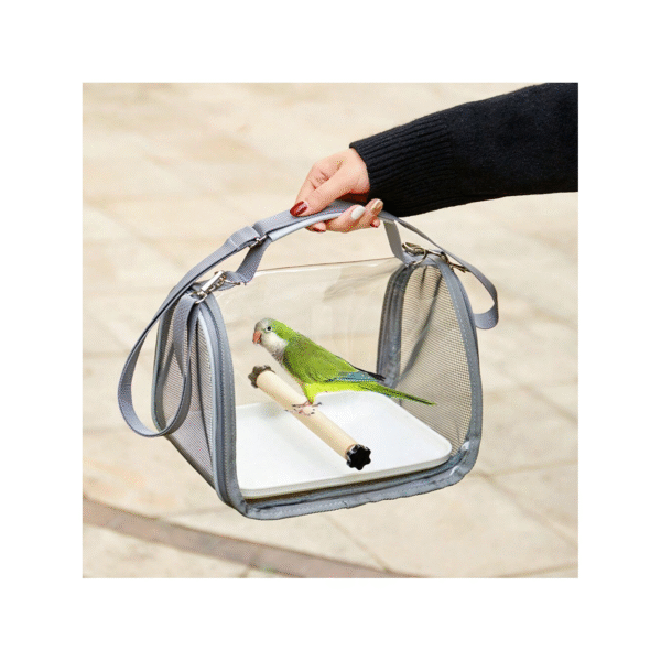 Modern Parrot Carrier For Small Birds