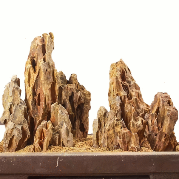 Natural Dragon Stone Rock For Aquarium 2 kg