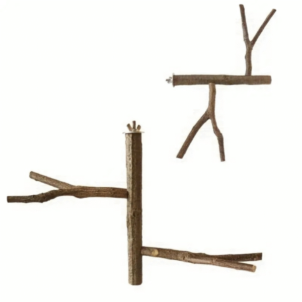 Natural Dual Branch Wood Parrot Perch Stand