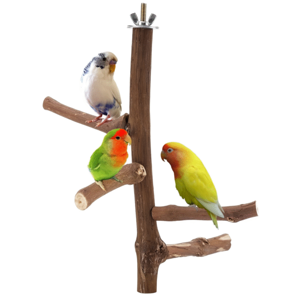 Natural Wooden Bird Perch Stand