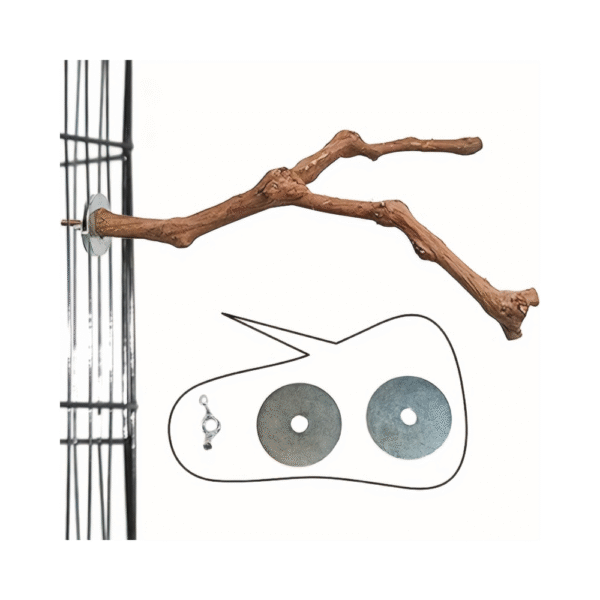 Natural Wooden Parrot Perch