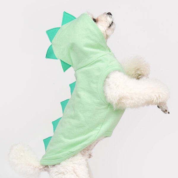 Olchi Khang Hoodie - Medium