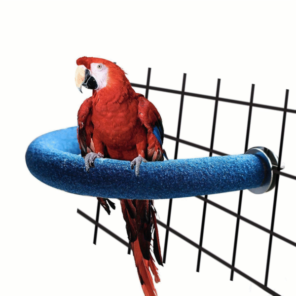 Parrot U Shaped Claw Perch Stand