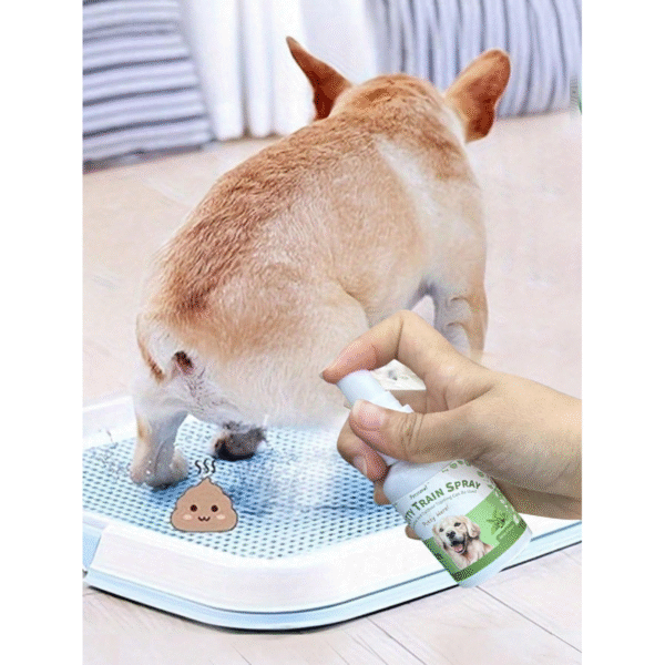 Petstoral Puppy Potty Training Spray