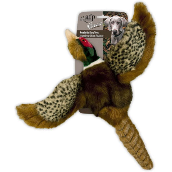 Pheasant Small Dog Toy