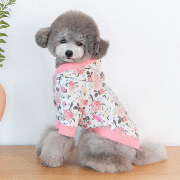 Pinkaholic New York Calla Hoodie Lvory