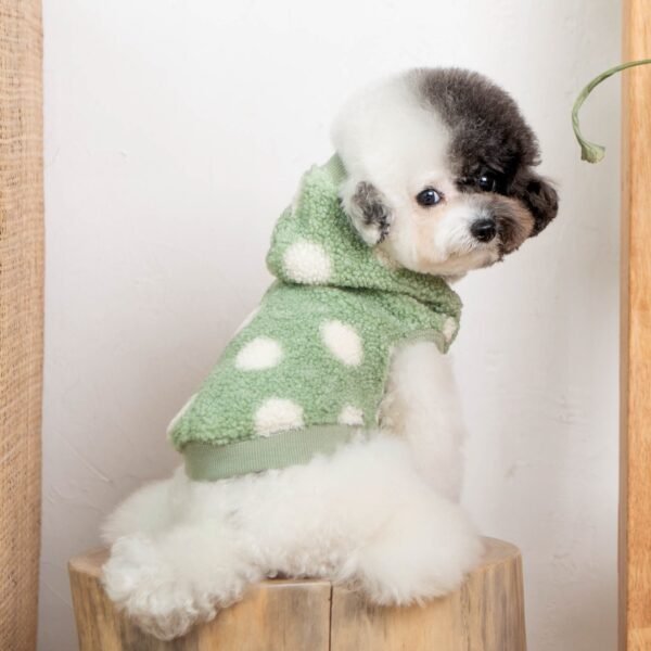 Pinkaholic Winni Hoodie Indian Mint