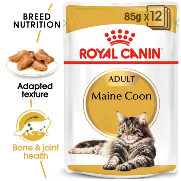 Royal Canin Maine Coon Adult Gravy Wet Cat Food 85g x 12 Pouches