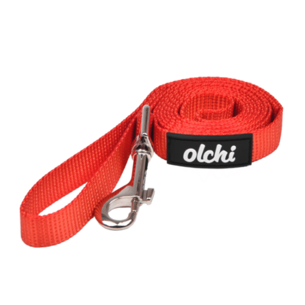 Olchi Combi Leash