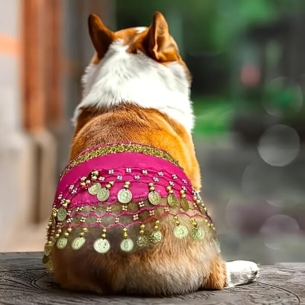 Shiny Belly Dance Dog Costume