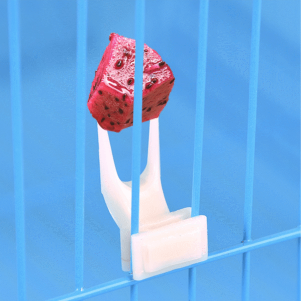 Small Plastic Fruit Fork For Birds Feed