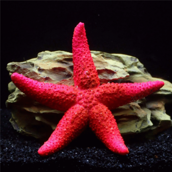 Starfish Aquarium Decoration