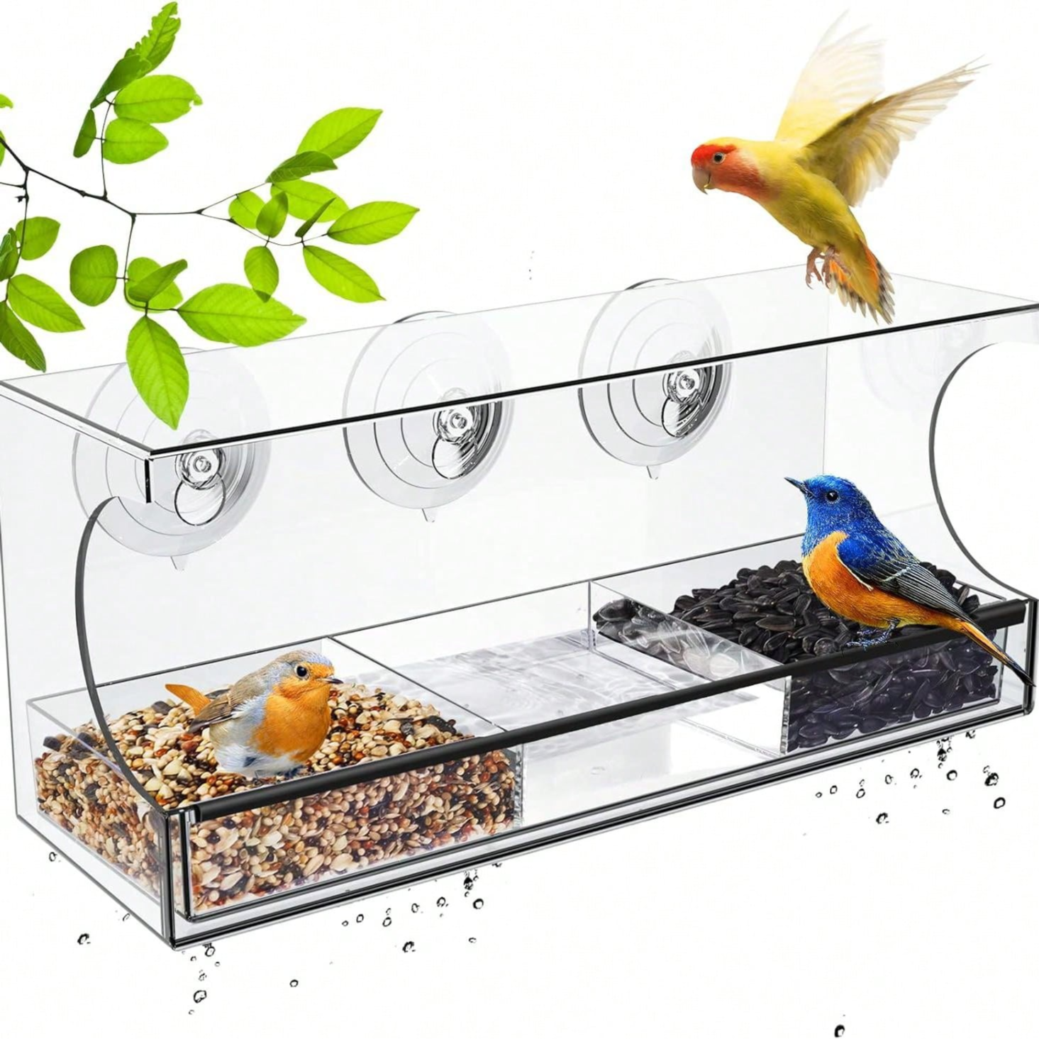 Window-Bird-Feeders-With-Sturdy-Standing-Cups-1.png
