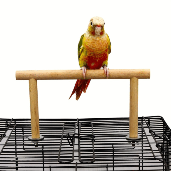 Wooden Parrot Stand