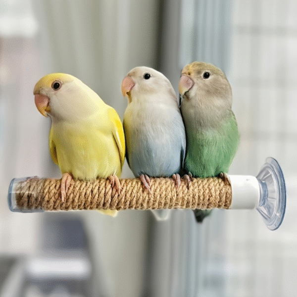 Parrot Perch With Anti-Slip Texture