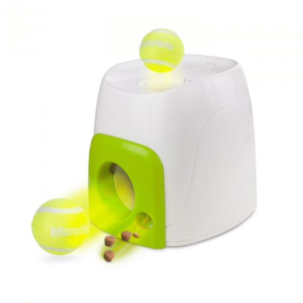 Ball Interactive Fetch Dog Toy