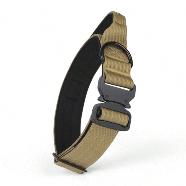 Nylon Dog Collar with Handle And Metal Buckle Black